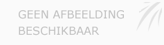 Afbeelding › Holie Pizza